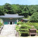 청옥산휴양림 이미지