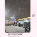 서초대로53길 15 | 우리의 삶은 결코 해명되지 않은 작은 비밀을 끌어안은 채로