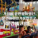 놀이시설을 무제한으로 즐길 수 있었던 가성비끝판왕 문경아이랑갈만한곳 문경에코월드 총정리