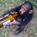 둘레길가든 이미지