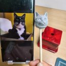 묘 미 앤 이미지