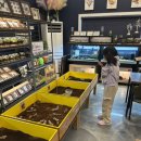 참 좋은 농장 | 참좋은굼벵이 곤충농장 _ 증평 아이랑 곤충체험 , 벨포레리조트 근처 갈만한곳