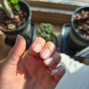 네일슬로 이미지