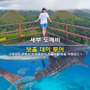 세부 도깨비 보홀 데이 투어 고래상어 로복강 초콜릿힐 여행코스