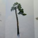 사진작가반 이미지