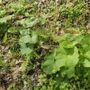 해오름 제2농장 이미지