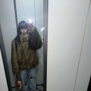 쿠모헤어