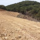 개간지천 이미지