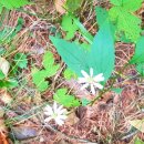 주식회사 주진 이미지