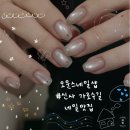네일오운무드 | [서울/신사][오운스네일] 7년차 네일리스트 쫀득한 자석젤 맛집 당일예약가능 프라이빗샵 추천후기