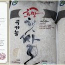 영농조합법인 물통골