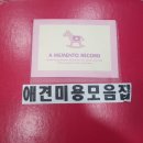 해피데이애견 이미지