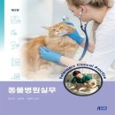 김수연 카카오 검색결과