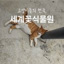 신리길L | 천안 근교 가볼만한 곳 l 입장료로 꽃을 살 수 있는, 아산 세계꽃식물원