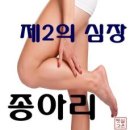 걷기의 해부학적 분석 이미지