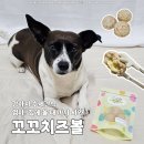 애견수제간식 엄마집에올때까까사와 야채 꼬꼬치즈볼