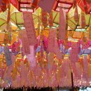 하동솔잎돼지 이미지