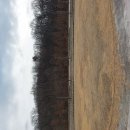 일직수변공원 이미지