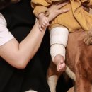 연세성모의원 이미지