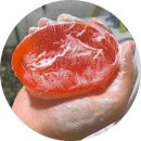 쇼킹바(Bar) 이미지