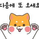 도그플러스 동물병원 이미지