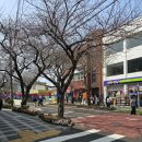 아쿠아PC방 | 제주도 제주 공항 근처 옷가게 [카이저 제빙기] 설치 후기 | 육지에서 섬까지 화물 배송 경로