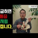 다리를 20회만 굽혔더니 허리통증과 골반통증 및 다리저림 싹 사라졌어요. 이미지
