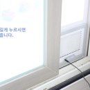 파파시스템