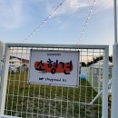 서촌동 댕번지 이미지