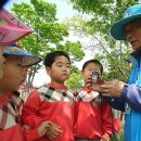 운천초병설유치원 이미지