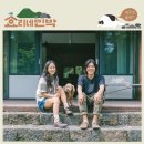 효리네 민박 이미지