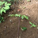 평산2동 이미지