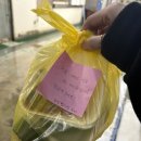 승민애견 | 새집에서 요리왕이 되어 버린 낯선 일기장
