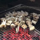 자연카라반펜션 이미지