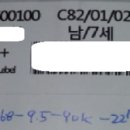 항진상회