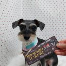 펫피파니 이미지