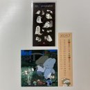 히아트 | 2023 서울일러스트레이션페어v.15 후기(What I Bought!)