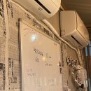 뉴노다지 이미지