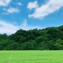 매봉산장 민박 이미지