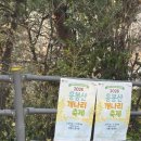 개나리어린이공원 | 평생 볼 개나리 다 본 응봉산 개나리축제 후기💛(ft. 포토스팟, 하산루트 추천)