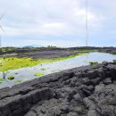 빌렛동산 이미지