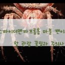 스파이더맨 파프롬홈 | 스파이더맨파프롬홈 마블 팬이라면 꼭 알아야 할 관람 꿀팁과 주의사항