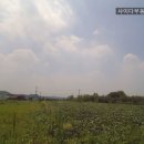 영천시 경계 도로옆 네이버블로그