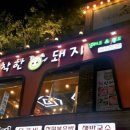 착한돼지 이미지