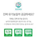 보리베리