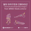 껀바디(kkunbody) 이미지