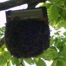 용연농장 이미지