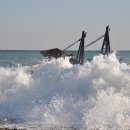 바다소식 이미지