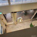 샵테라스 이미지