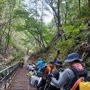 2025년 산림청장배 대둔산 산림레포츠대회 성료 이미지